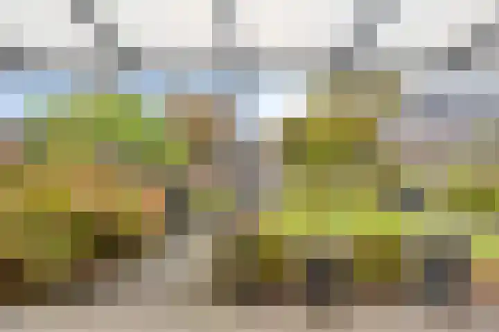Liesberg 13 Someren thumbnail 23