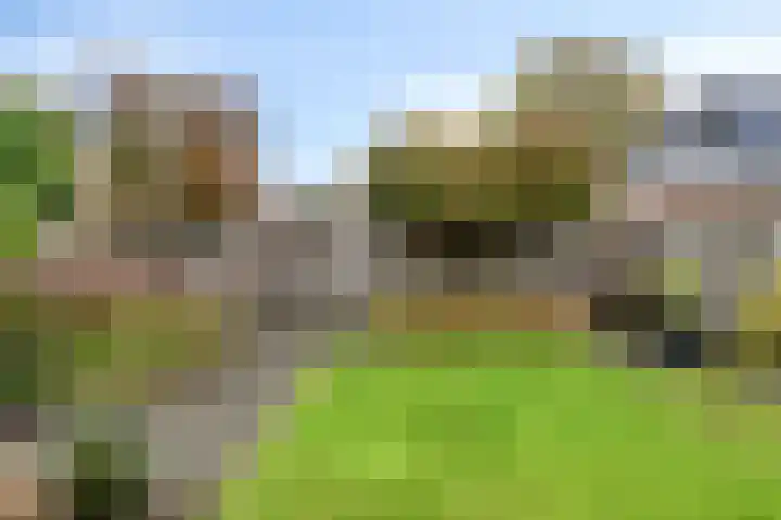 Liesberg 13 Someren thumbnail 24