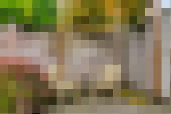 Liesberg 13 Someren thumbnail 25