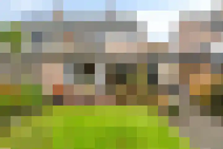 Liesberg 13 Someren thumbnail 26