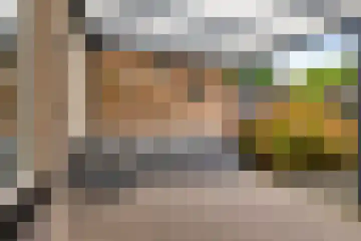 Liesberg 13 Someren thumbnail 27