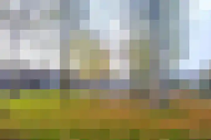 Liesberg 13 Someren thumbnail 33