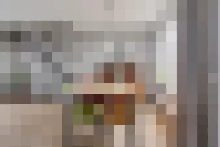 Liesberg 13 Someren thumbnail 6