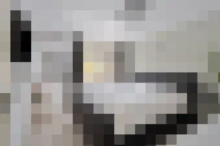 Liesberg 32 Someren thumbnail 4