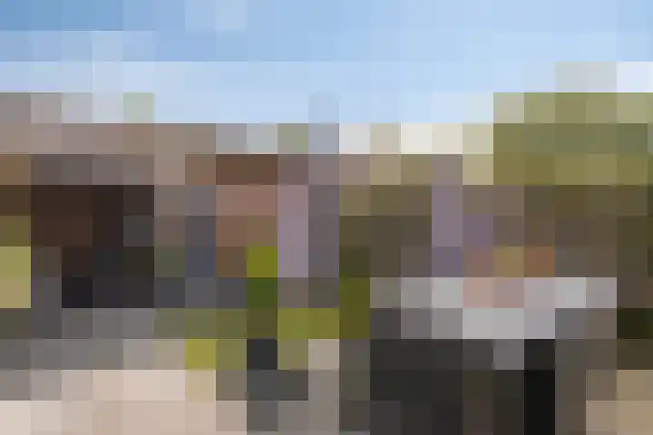 Liesberg 32 Someren thumbnail 6