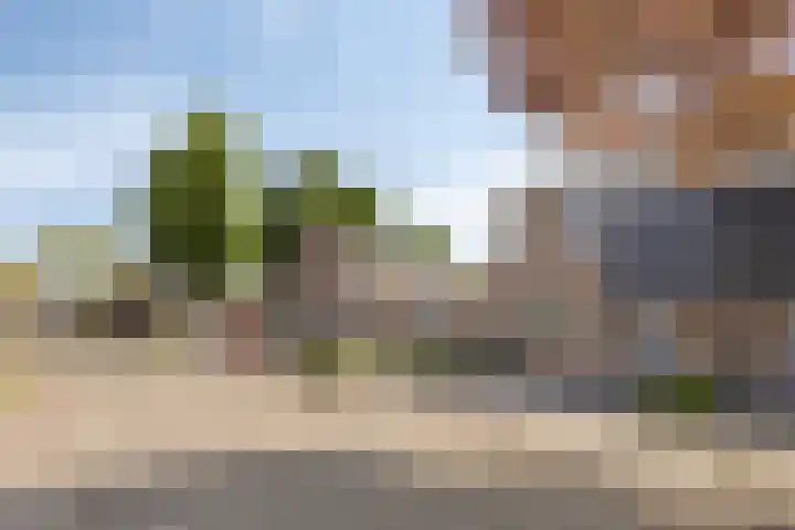 Liesberg 32 Someren thumbnail 8