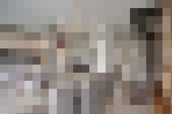 Liesberg 5 Someren thumbnail 5