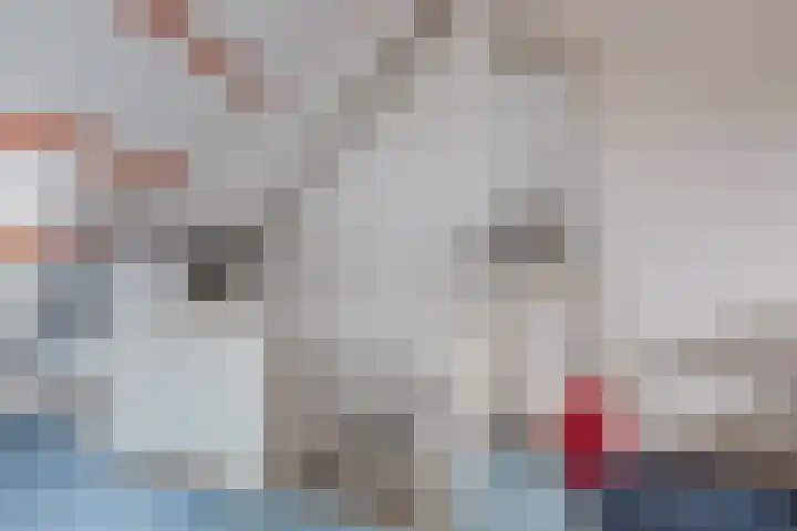 Lievensweg 21 Groesbeek thumbnail 38