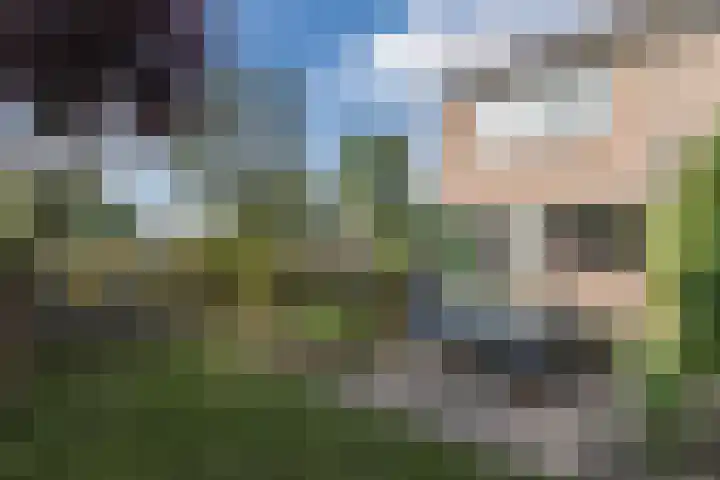 Lievensweg 21 Groesbeek thumbnail 43