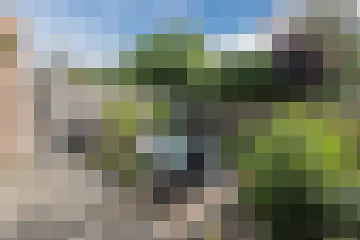 Lievensweg 21 Groesbeek thumbnail 9