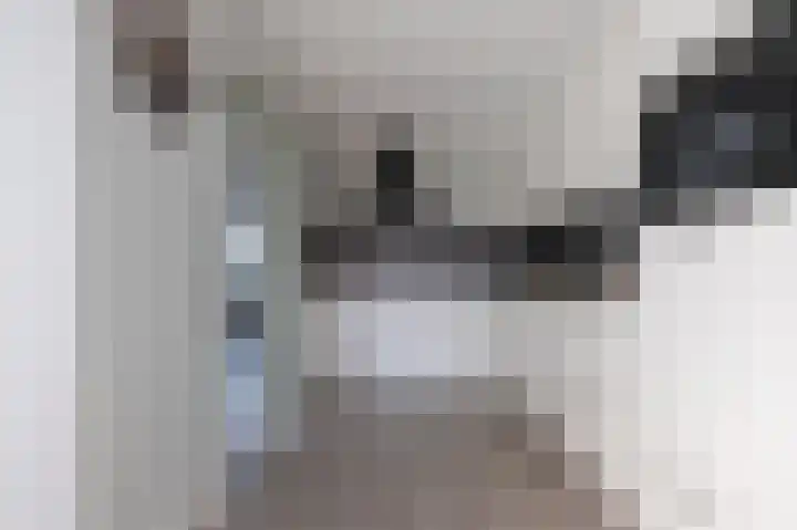 Lieving 17 B Beilen thumbnail 12