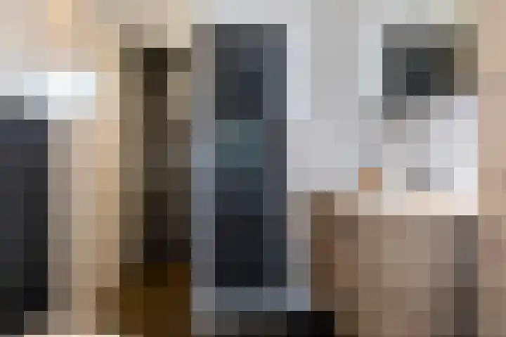 Lieving 17 B Beilen thumbnail 26