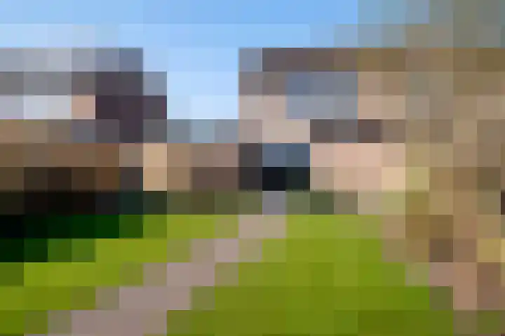 Lieving 17 B Beilen thumbnail 38