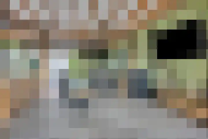Ligneweg 11 Steenbergen thumbnail 11