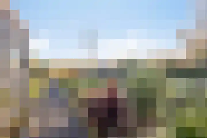 Ligneweg 11 Steenbergen thumbnail 23