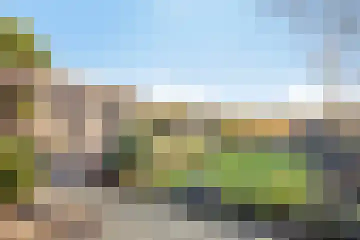 Ligneweg 11 Steenbergen thumbnail 24