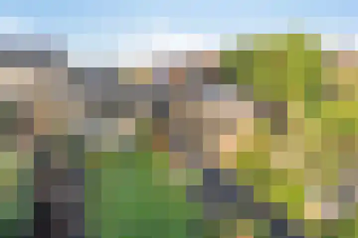 Ligneweg 11 Steenbergen thumbnail 32