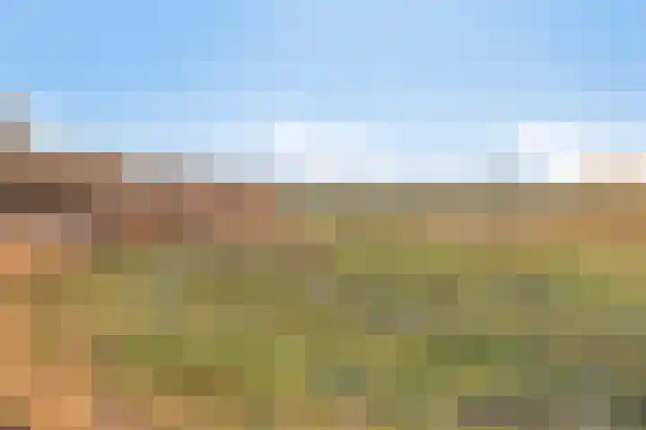Ligneweg 11 Steenbergen thumbnail 54