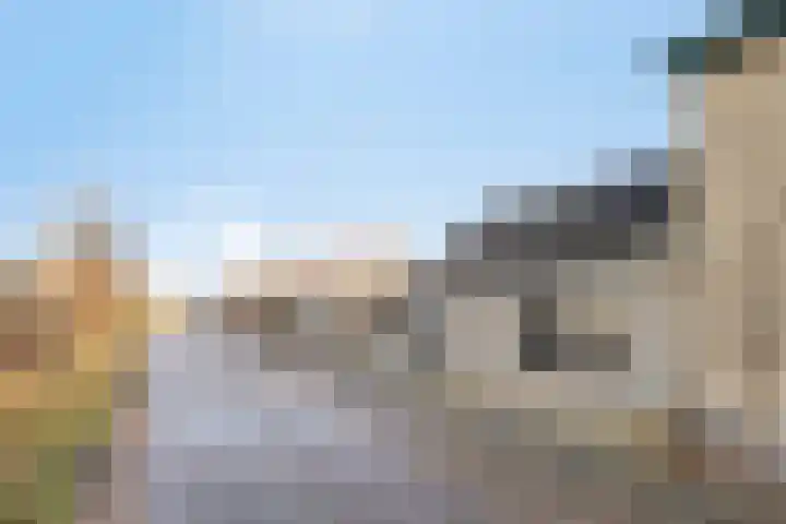 Ligneweg 11 Steenbergen thumbnail 60