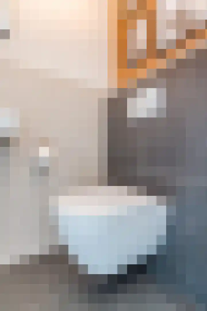 Ligtsedreef 47 Nuenen thumbnail 10
