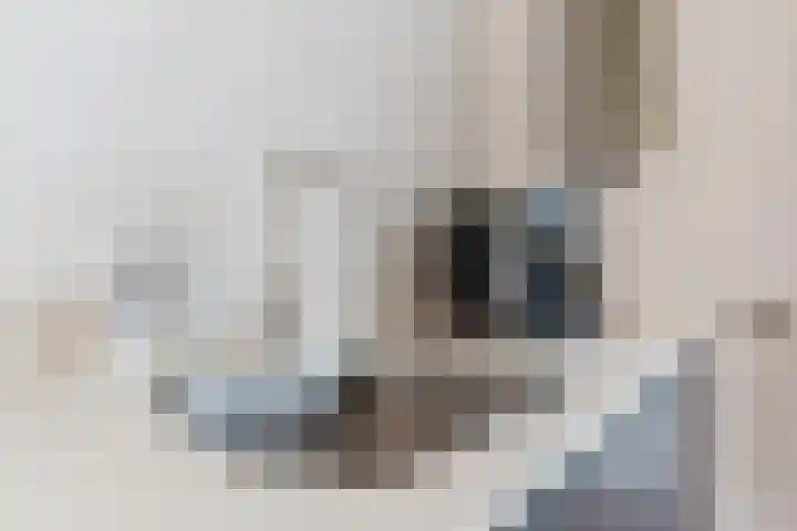 Ligtsedreef 47 Nuenen thumbnail 15