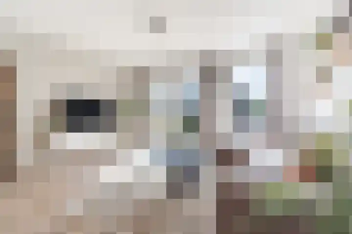 Ligtsedreef 47 Nuenen foto 2