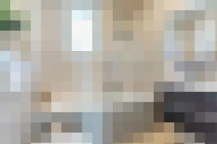 Ligtsedreef 47 Nuenen thumbnail 24