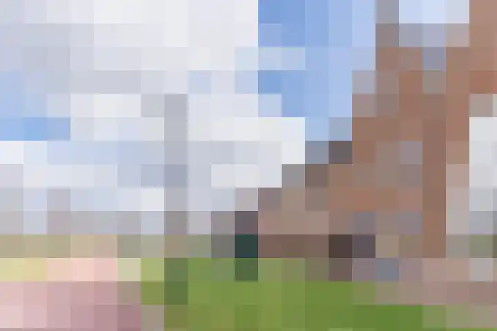Ligtsedreef 47 Nuenen thumbnail 5