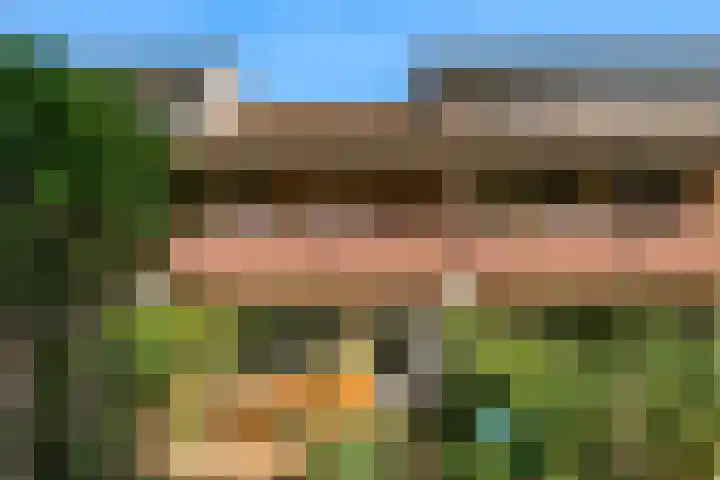 Ligusterbes 14 Leiden thumbnail 28