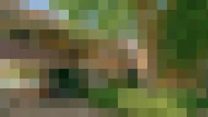 Ligusterbes 14 Leiden thumbnail 43