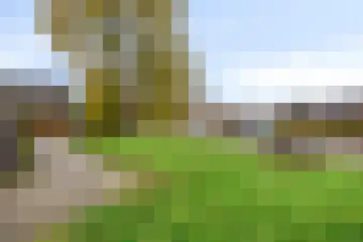 Ligusterlaan 23 Winterswijk thumbnail 27