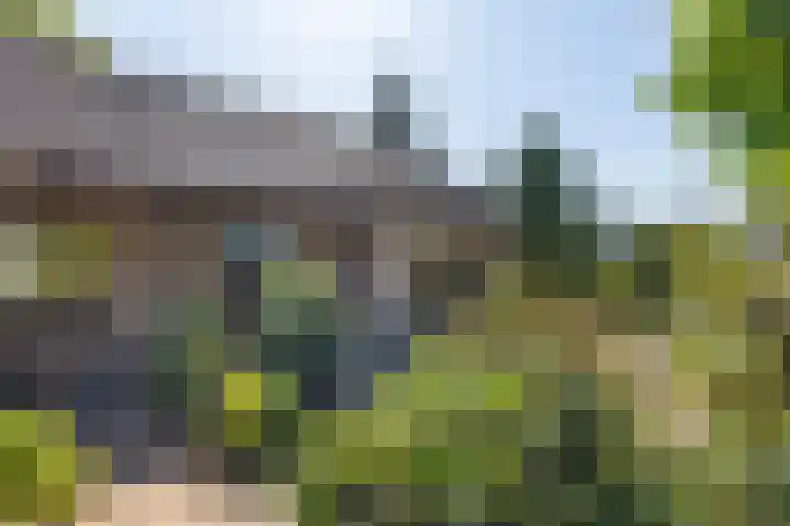 Ligusterlaan 30 Winterswijk thumbnail 34