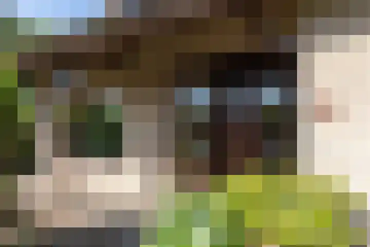 Ligusterlaan 30 Winterswijk thumbnail 4