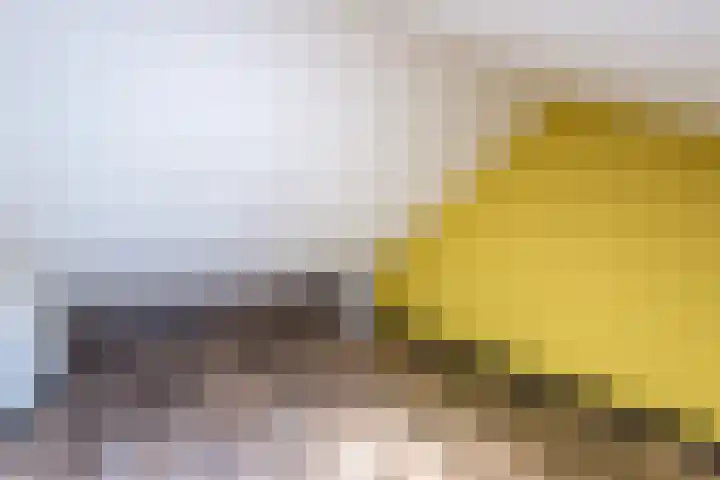 Ligusterlaan 7 Nijkerk thumbnail 29