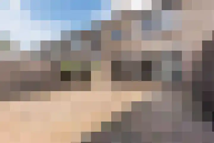 Ligusterlaan 7 Nijkerk thumbnail 36