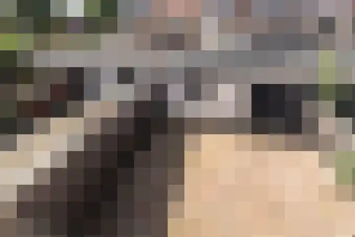 Ligusterlaan 7 Nijkerk thumbnail 39