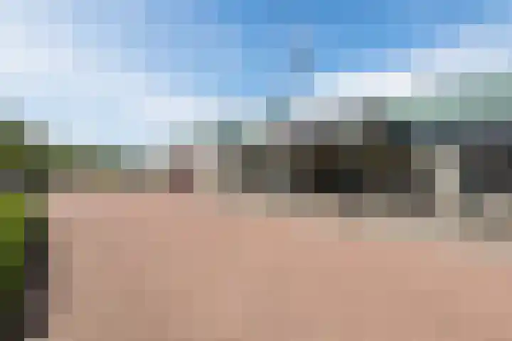 Ligusterlaan 7 Nijkerk thumbnail 42