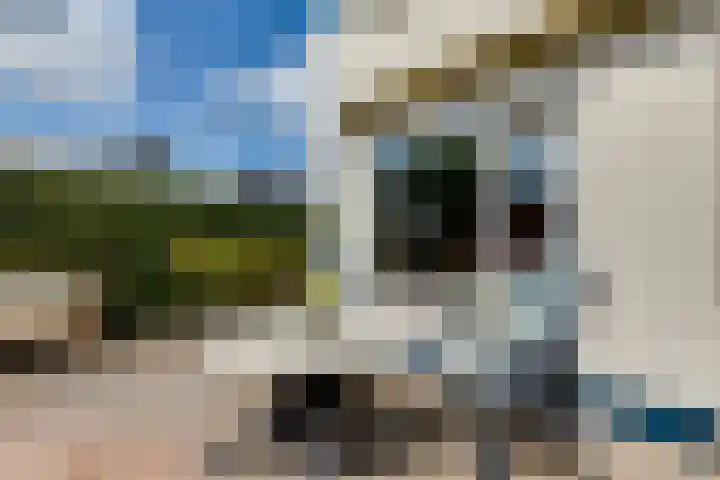 Ligusterlaan 89 Winterswijk thumbnail 33