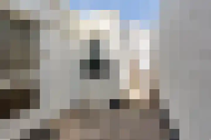 Ligusterlaan 89 Winterswijk thumbnail 7