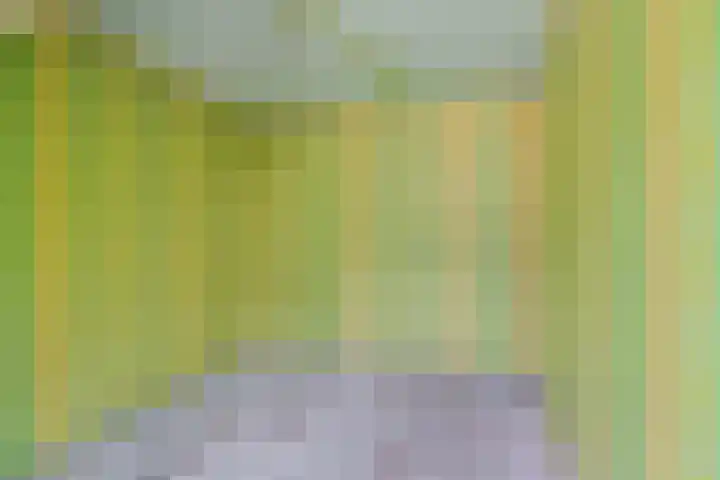 Ligusterpad 40 Venlo thumbnail 16