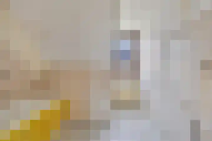Ligusterpad 40 Venlo thumbnail 17