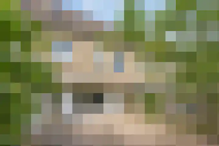 Ligusterpad 40 Venlo thumbnail 20