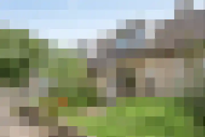 Ligusterpad 40 Venlo thumbnail 21