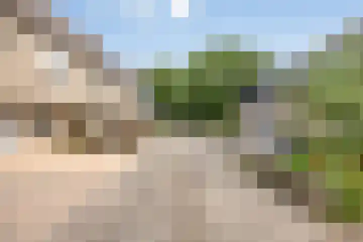 Ligusterpad 40 Venlo thumbnail 23