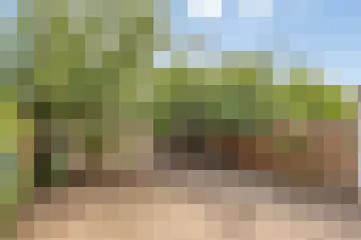 Ligusterpad 40 Venlo thumbnail 6