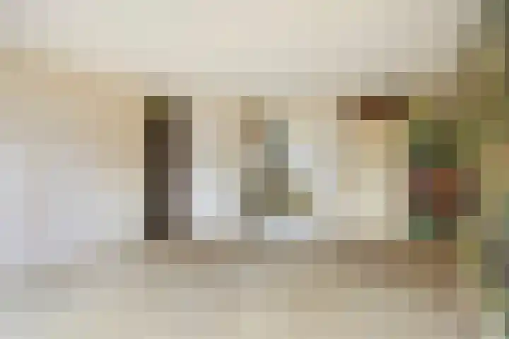 Ligusterpad 40 Venlo thumbnail 9