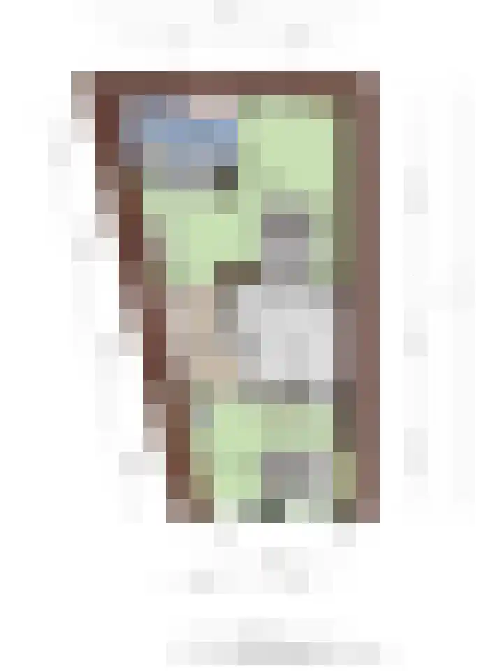 Ligusterstraat 17 Heteren foto 3