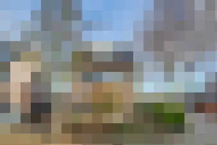 Ligusterstraat 49 in 's-Gravenpolder