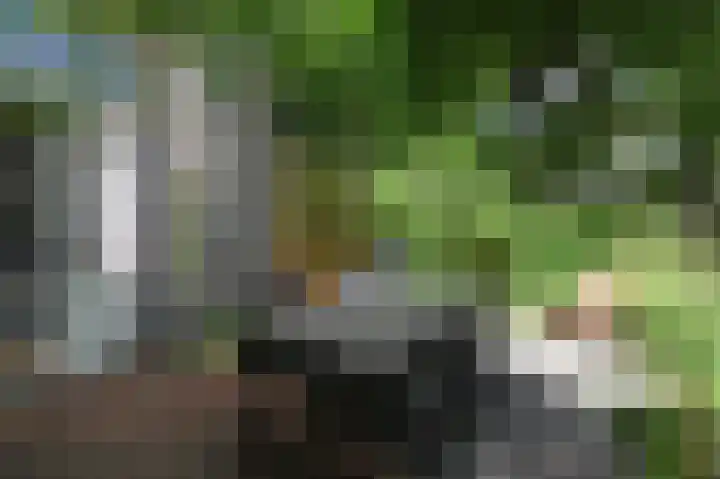 Ligusterstraat 61 Den Haag thumbnail 37