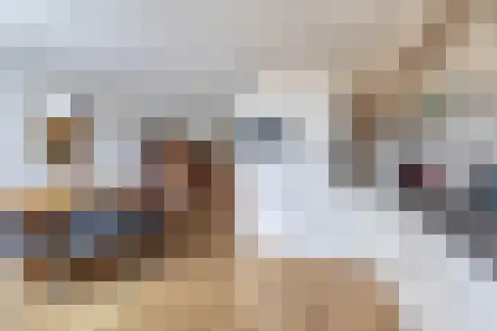 Lijnackerslaan 46 Onstwedde thumbnail 11